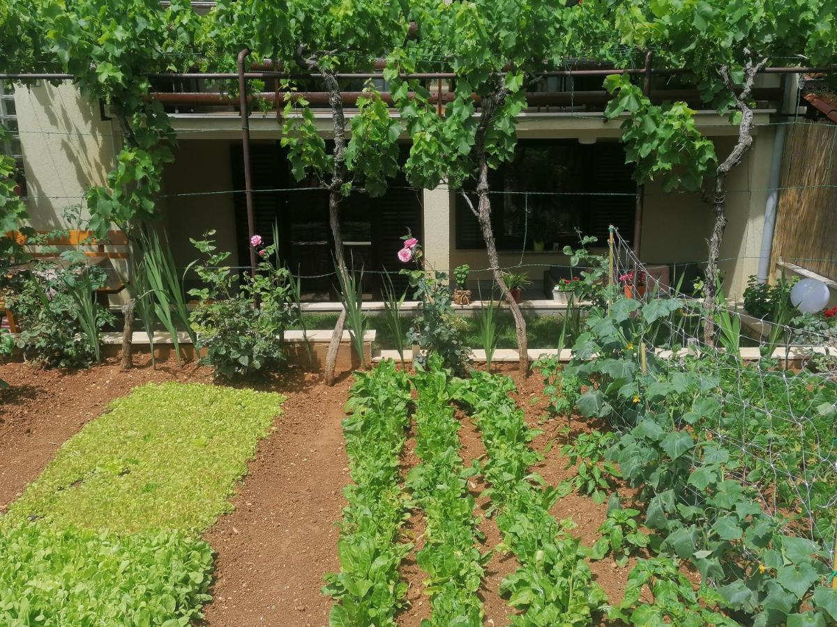 Apartment Oliva Pula Zewnętrze zdjęcie
